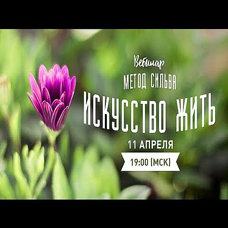 Метод Сильва: искусство жить  (2016) WEBRip