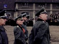 1933-1945  .        / '33-'45 in Farbe (2000) DVDRip