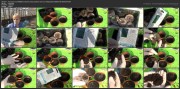 Как вырастить ГОЛУБИКУ из семян без особых проблем (2016) WEBRip