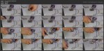 Блок питания своими руками  из модуля DC-DC на микросхеме XL4015E (2016) WEBRip