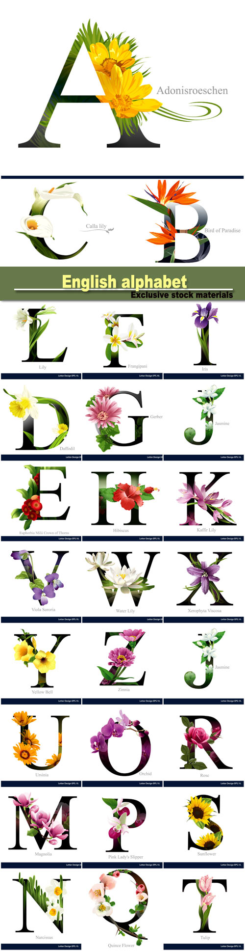 English Alphabet with flowers