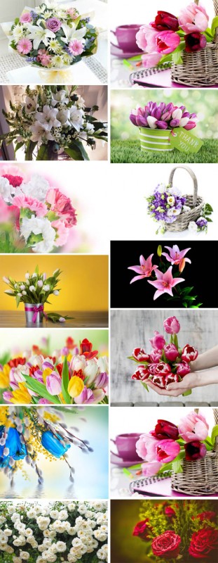 Beautiful Flowers Collection p.1