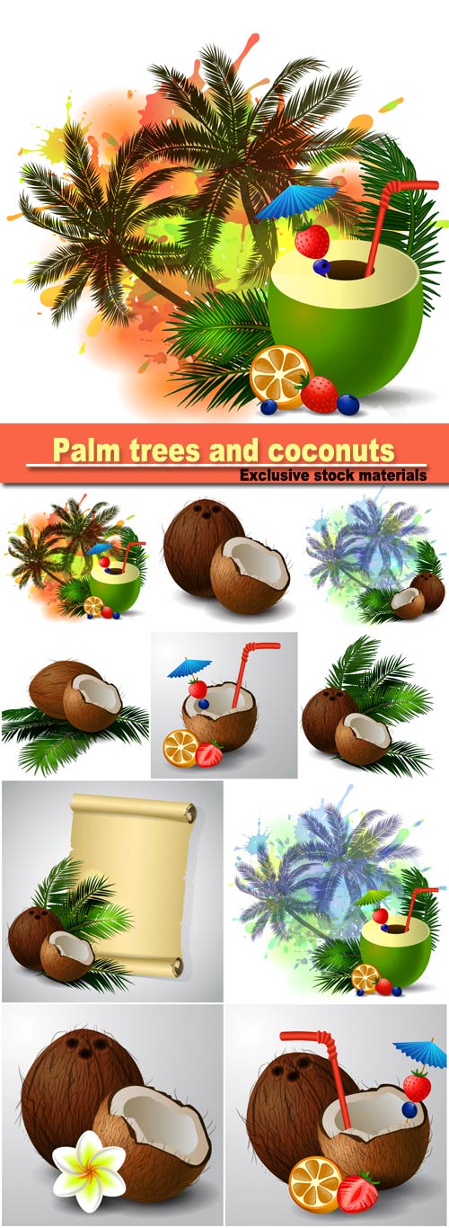 Palm trees and coconuts vector