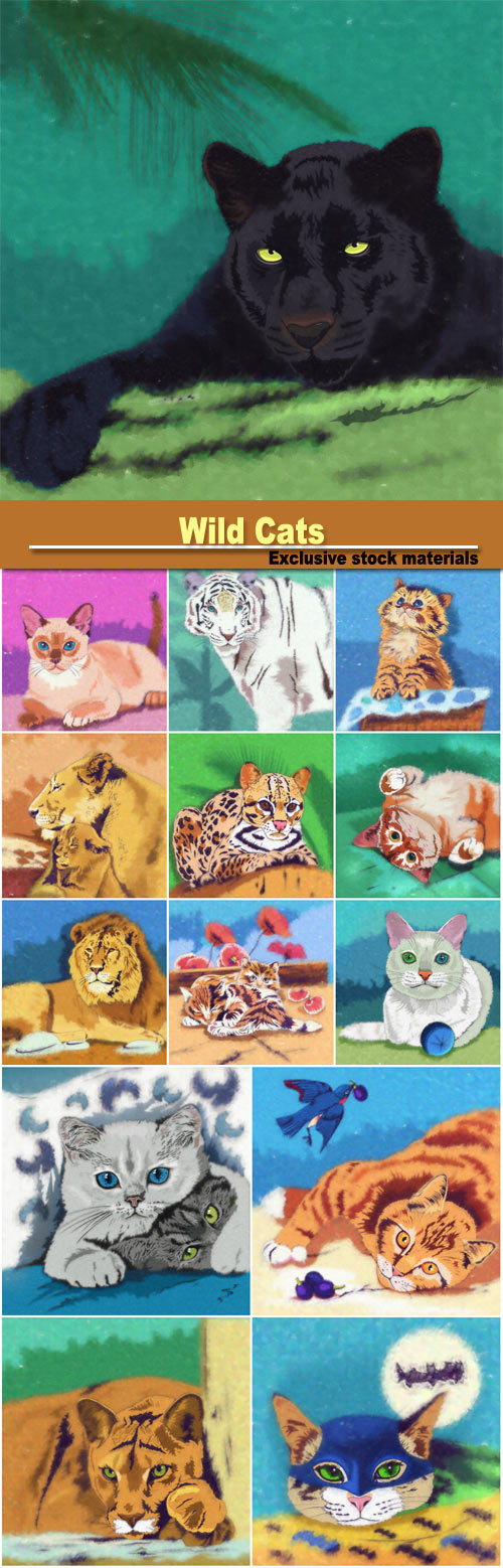 Wild Cats, lion, panther, cats