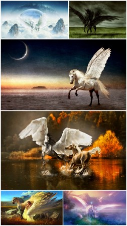 Pegasus (Part 1)