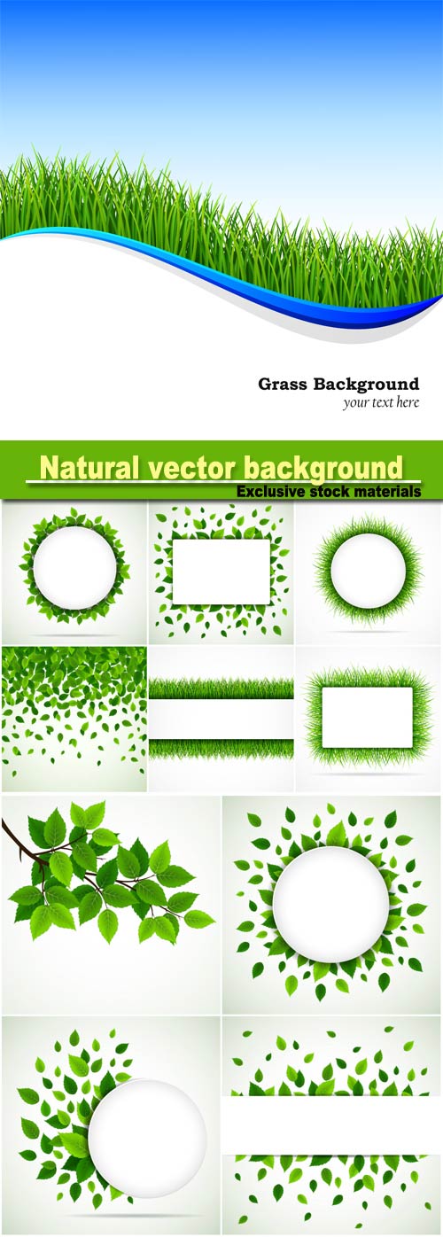 Natural vector background, grass and leaves