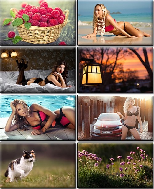 LIFEstyle News MiXture Images. Wallpapers Part (1026)