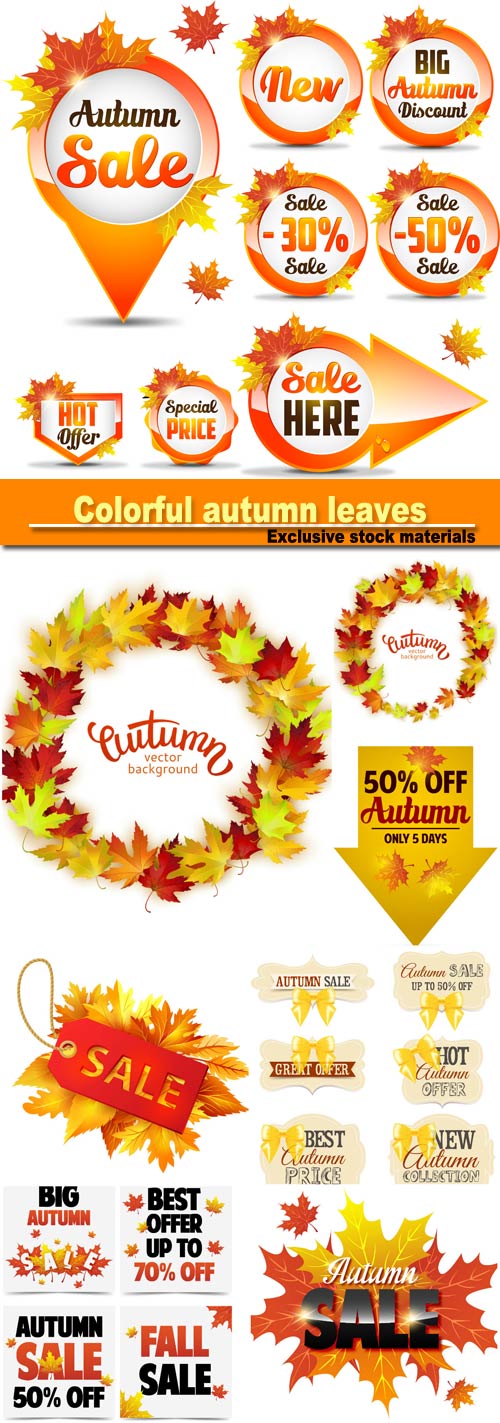 Vector colorful autumn leaves, card template, discount tag with fall leaves