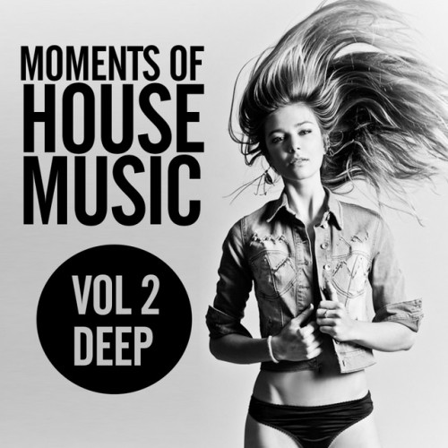 VA - Moments Of House Music Vol.2 Deep (2016)