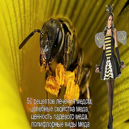 50 рецептов лечения медом. Целебные свойства меда (2016) WEBRip