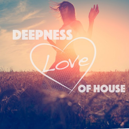 VA - Deepness Love of House (2016)