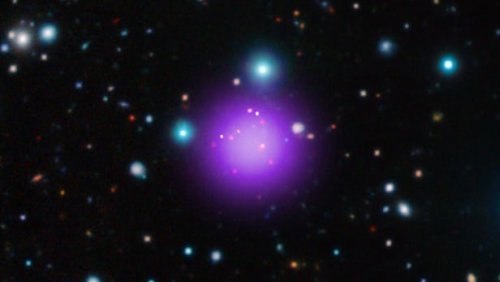 Скопление галактик CL J1001