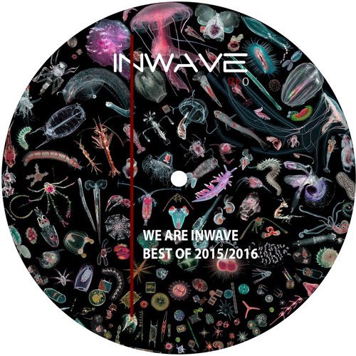 We Are Inwave Best Of 2015/2016 (2016)