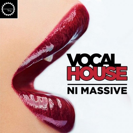 Industrial Strength Vocal House Massive MULTiFORMAT