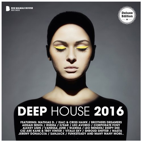 Deep House 2016 (Deluxe Version) (2016)