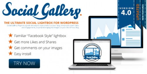 Download Nulled Social Gallery v4.6 - WordPress Photo Viewer Plugin cover