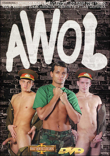 AW0L (2007/DVDRip)