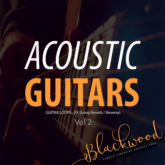 BLACKWOOD Samples Acoustic Guitars Vol 2 WAV