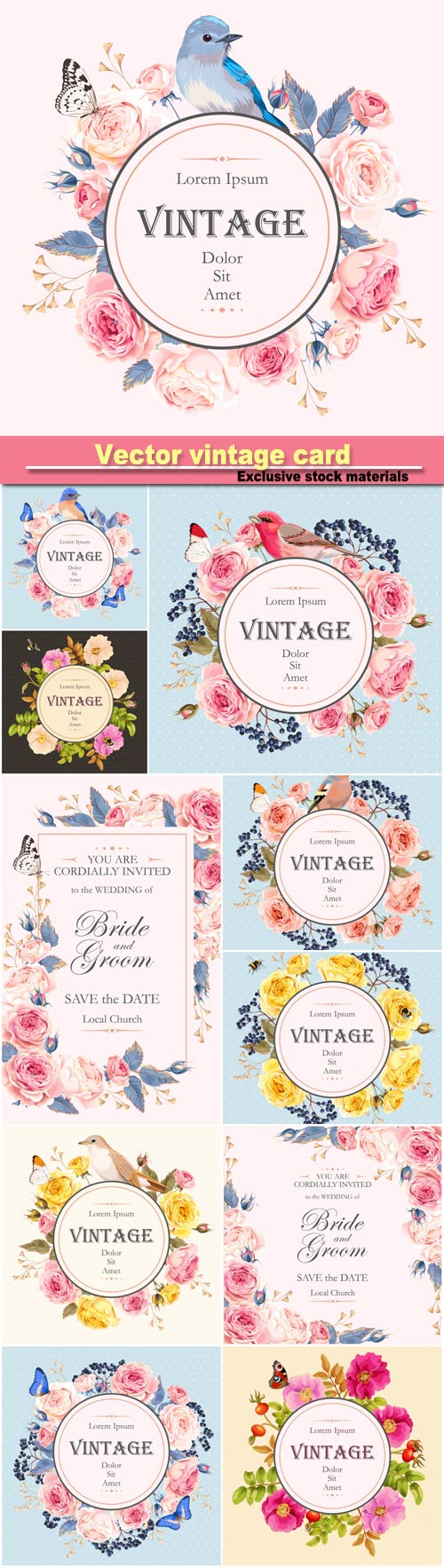 Vector vintage card with english roses and bird