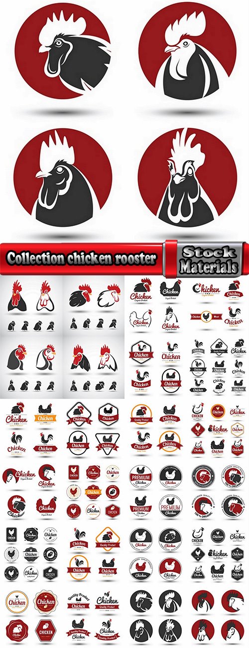Collection chicken rooster label sticker vector image 25 EPS