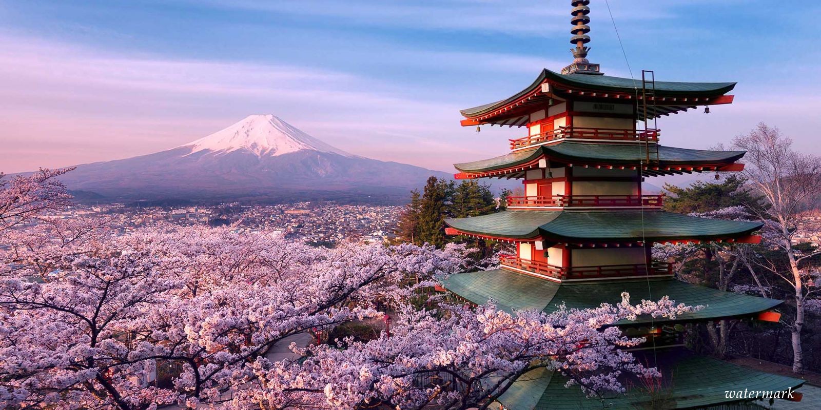 Туристический налог ввели в японском городке Киото