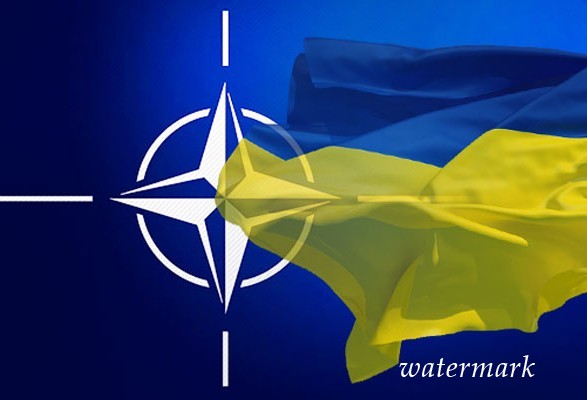 НАТО: РФ усилила события против интеграции Украины в Альянс
