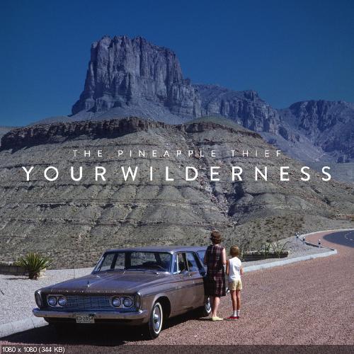 The Pineapple Thief - Your Wilderness (2016)