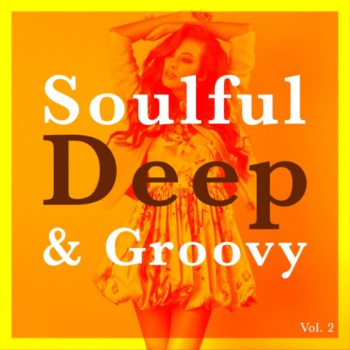 VA - Soulful Deep and Groovy Vol.2 (2016)